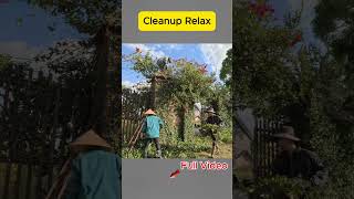 Cleaning up a $3 million mansion #overgrown #cleanup #shorts