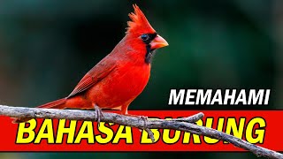 Memahami Bahasa Burung