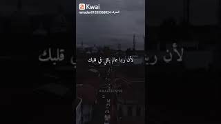 افتكر الكلمتين دول 👌😔 رزقك مش بيروح لحد 👌👏❤