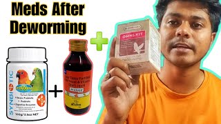 MUST DO COURSES after Deworming of Pet Birds || All About Pets (Hindi)