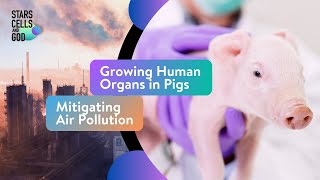 Growing Human Organs in Pigs and Mitigating Air Pollution | Fazale "Fuz" Rana and Hugh Ross