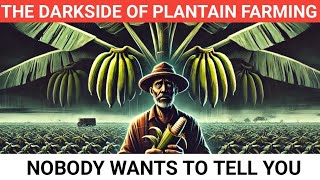 The Darkside of Plantain Farming Nobody Wants to Tell You