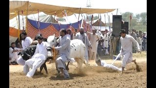 Akhara Krah phrati/Jatlan/Azad kashmeer  Jun 2019  Part.1