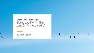 Why Don’t Birds Get Electrocuted When They Land On An Electric Wire? | How Series? | Video #12