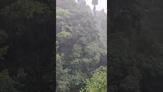 Heavy Rainfall @rumbabikashvlog #beautifulnature