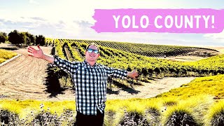 YOLOING in YOLO COUNTY! DAVIS CALIFORNIA TRAVEL GUIDE #travelvlog