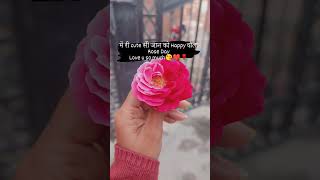 happy rose 🌹day... #youtubeshorts#trending#roseday