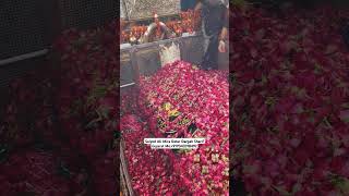 Mira datar dargah Urs stetus|whatsapp qawwali status|2024new qawwali|Famous qawwali|mira data