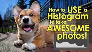 What is a Histogram? And how to use it to take great photos!