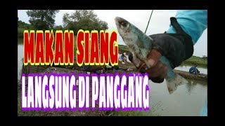 Mancing belanak langsung di makan rame2