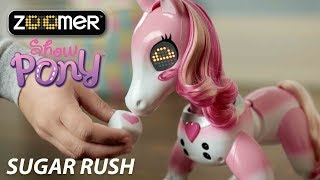 Zoomer | Show Pony | Sugar Rush