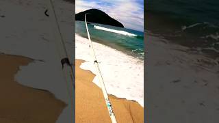 #shorts...Pesca de praia em Ubatuba, Pampo bonito