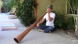 "Ambient Alchemy" Alder Didgeridoo by Chad Butler