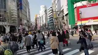 Walking through Shibuya!!!