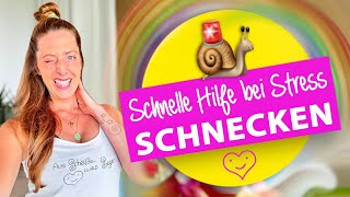 Soulmate Schnecki 😍👉🐌 Folge deiner SEELE & den SCHNECKEN 🤗🌈💖