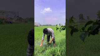 Grass Ink #shorts #youtubeshorts #mravi