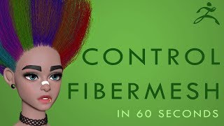 How to CONTROL FIBERMESH with POLYGROUPIT in Zbrush 2018 - 60 Second Tutorial