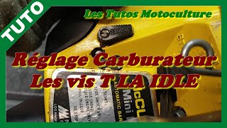 Réglage carburateur vis T , LA , IDLE ( stihl,echo,husqvarna )