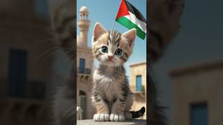 Palestine supporter cat #cat #kitten #kucinglucu