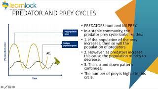 GCSE AQA Biology - B7 Ecology - Organisation of an ecosystem