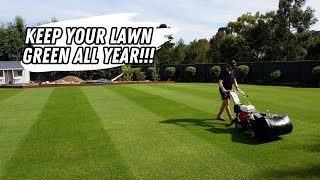 Lawn programs for temperate climates (Vic, SA, NSW + Perth) // what to do and when!!