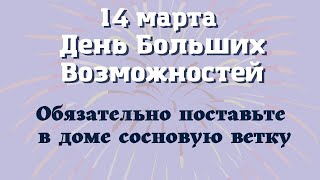 14 марта День Больших Возможностей. Поставьте в доме сосновую ветку. Лунный день март 2022