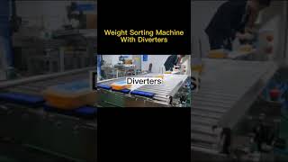 weight grading sorting machine for the food industry with diverters #food #machine #weighingmachine