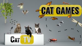 КОТ-игры | Лучшая подборка жуков и бабочек Cat TV, том 7 🐝🐞🦋🦗🐜