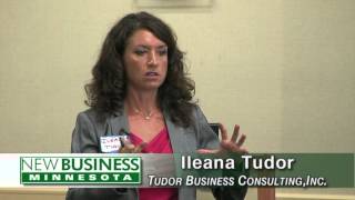 New Business MN Workshop July 2013 - Ileana Tudor, Tudor Business Consulting