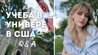 Переехала в США 🌸 моя учеба за 28 МЛН РУБЛЕЙ ☠️🇺🇸Q&A