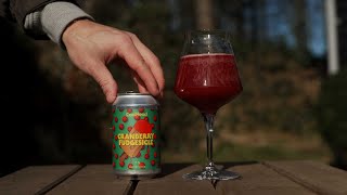 Cranberry Fudgecicle - CoolHead Brew - OELELSKER