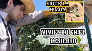 110~ SEGUIMOS CON EL PROBLEMA🔥FUNCIONARA LA CENIZA❓NOS FALTAN PIEZAS❌#vlog #campo