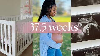 #9monthspregnant #pregnancyjourney PREGNANCY VLOG | Room Reset | Haul | Appointments & MORE!!