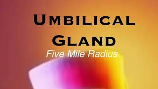 Umbilical Gland- “That Seagull was Incarcerated”