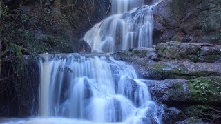 Karura Waterfall || What An Adventure 🤗