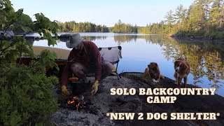 Solo Overnight Hammock Backcountry Camp New Dog Shelter