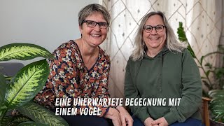 Die Blaumeise im Schlafzimmer: Ein unerwarteter Besuch