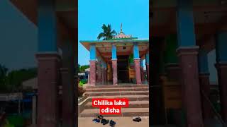 chilika lake odisha #travel #viralreels #youtubeshorts #beach #reel #nature #trending #nature #viral