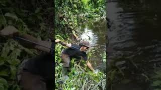 Mancing di tengah hutan dapat penghuni sungainya #41 #shorts #kookiko