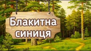 Тренажер для розчитування #17. Пташки.