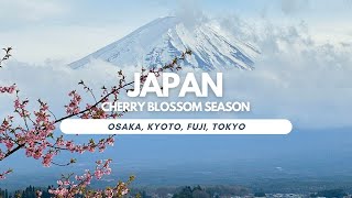 Japan Travel Vlog: 9 Days of Sakura in Osaka, Kyoto, Fuji & Tokyo