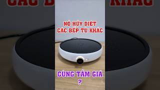 Nếu nó là thứ 2 thì không cái nào là thứ nhất trong cùng tầm giá ?. Bếp từ Xiaomi Milife có nên mua