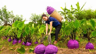 Harvesting TARO ROOT - The Most Delicate Dumpling Taro Puff Wu Gok Recipe Go to the market sell