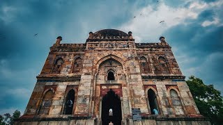 Lodhi Garden short video | Delhi | #nature #garden #delhi #shorts