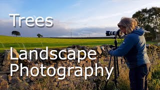 Trees | LANDSCAPE PHOTOGRAPHY | Eden Valley | Canon EOS 5D Mark II