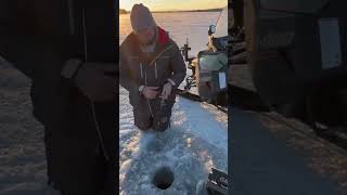 We Got a Puller #icefishing #icefishingvideo #icefishingrod #giantcatch #giantfish