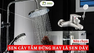 Nên chọn sen cây tắm đứng hay là sen dây