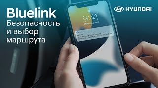 Уверенность за рулем вместе с BlueLink