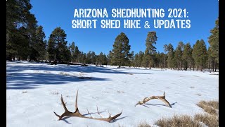 Arizona Shed Hunting 2021: Short Weekend & Updates