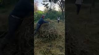 Disfrutando del trabajo en HUERTA